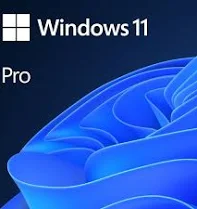 Microsoft Windows 11 Pro 64Bit Español Licencia Permanente FPP Descarga Digital